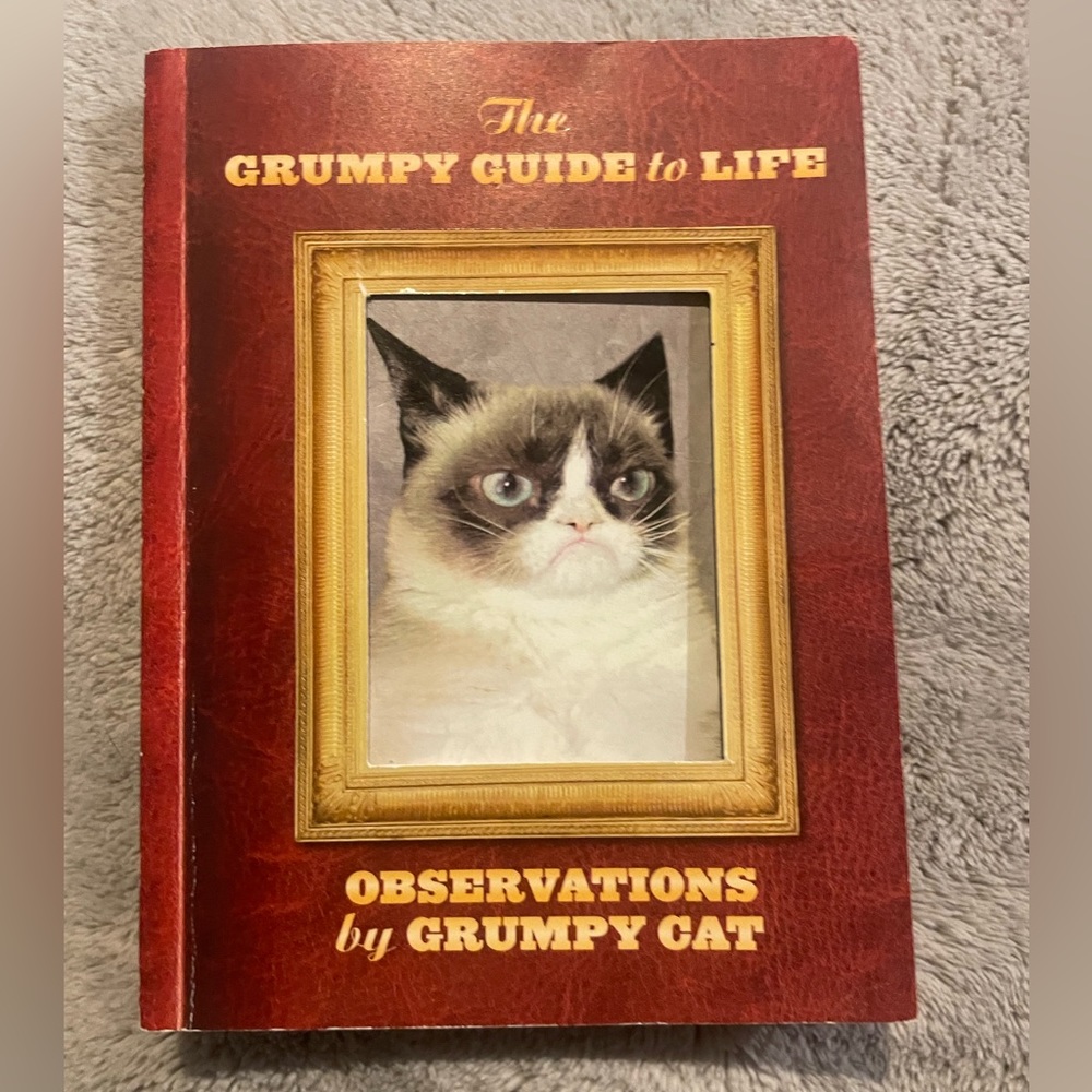 The Grumpy Guide To Life Observations By Grumpy Cat